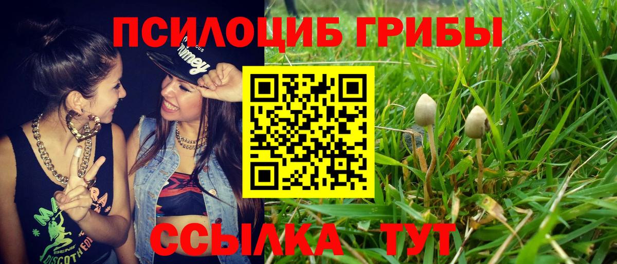 Похвистнево  Галлюциногенные грибы мицелий  Псилоцибиновые грибы прущие грибы  Вход с VPN 